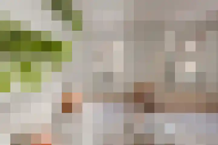 Da Costakade 13 2 Amsterdam thumbnail 14