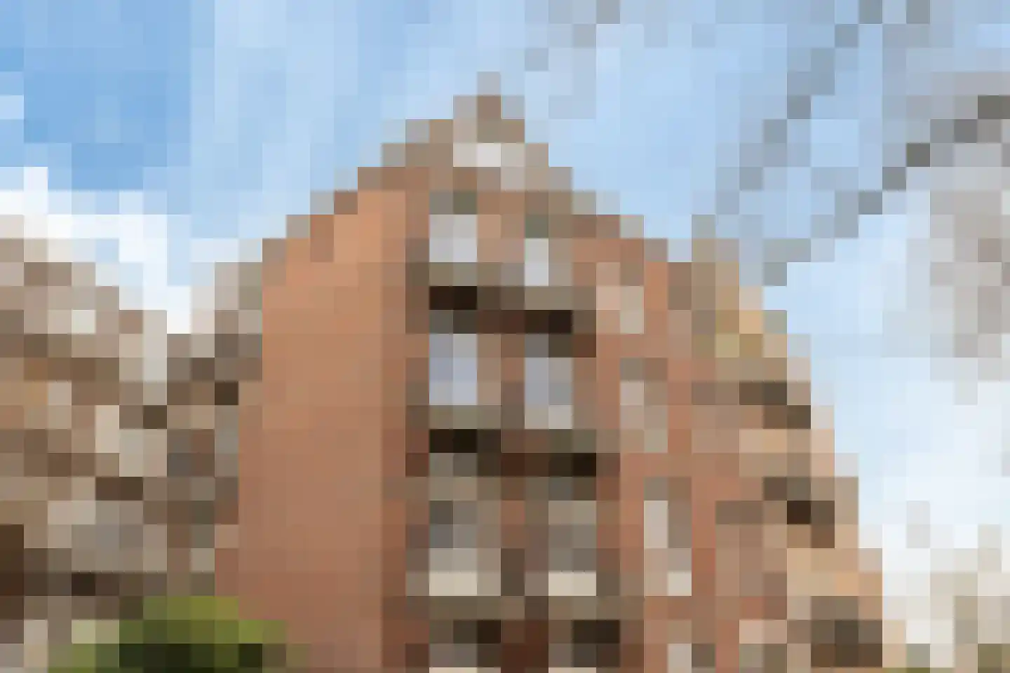 Da Costakade 13 2 Amsterdam thumbnail 65