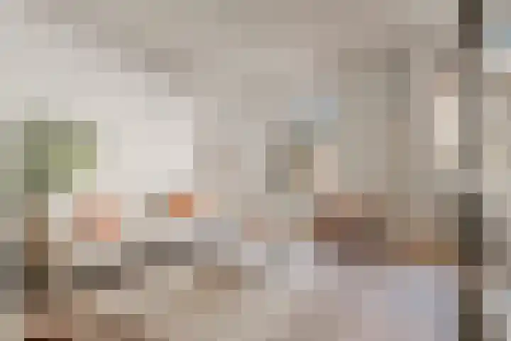 Da Costakade 13 2 Amsterdam thumbnail 7