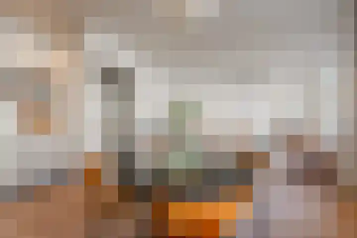 Da Costakade 13 2 Amsterdam thumbnail 9