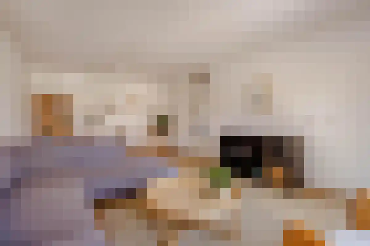 Da Costakade 138 L Amsterdam thumbnail 5