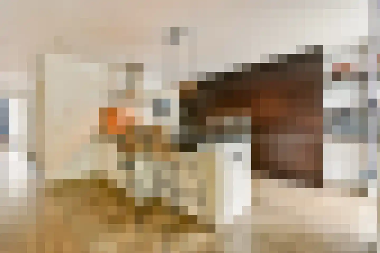 Da Costakade 14 A Amsterdam thumbnail 11