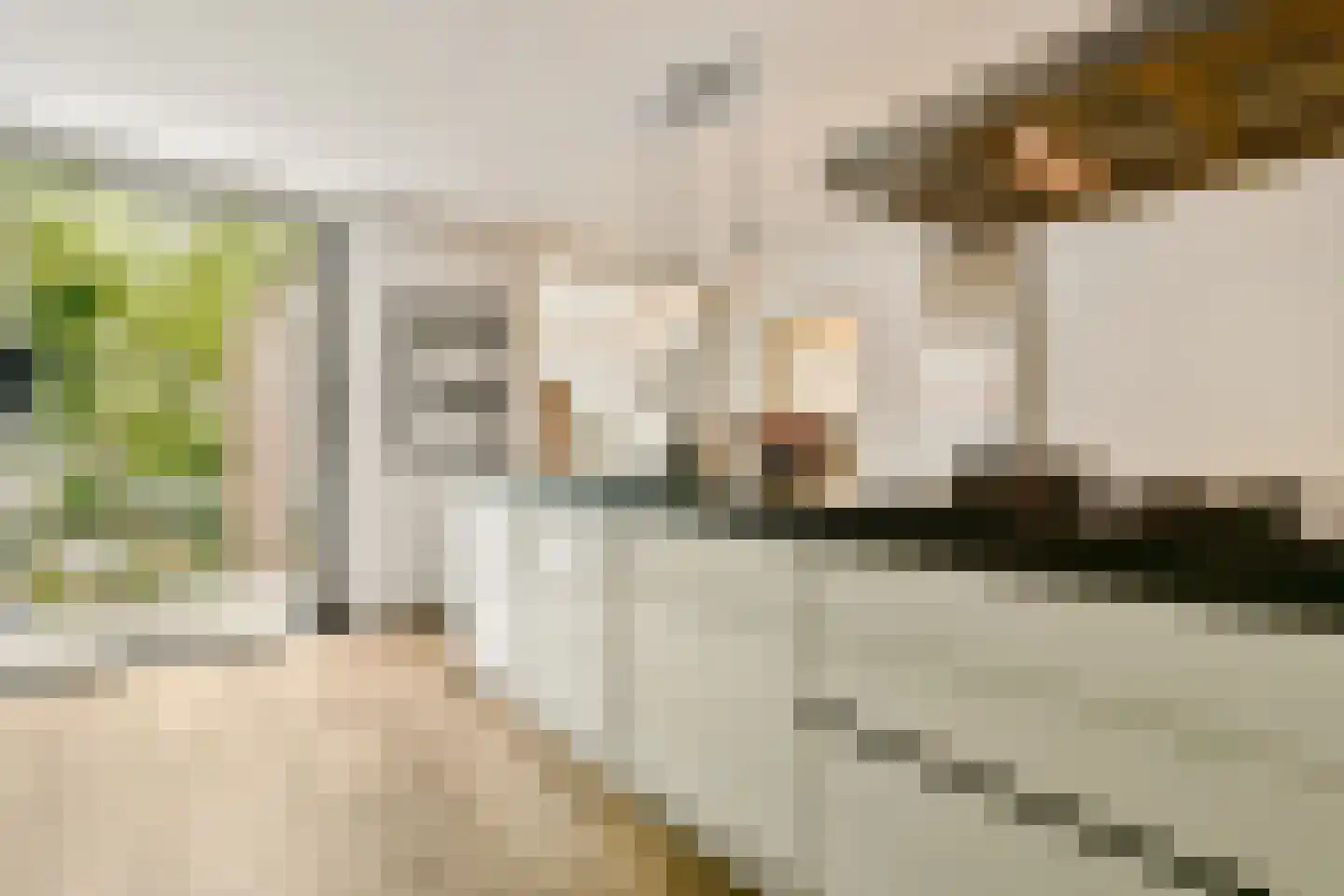 Da Costakade 14 A Amsterdam thumbnail 12