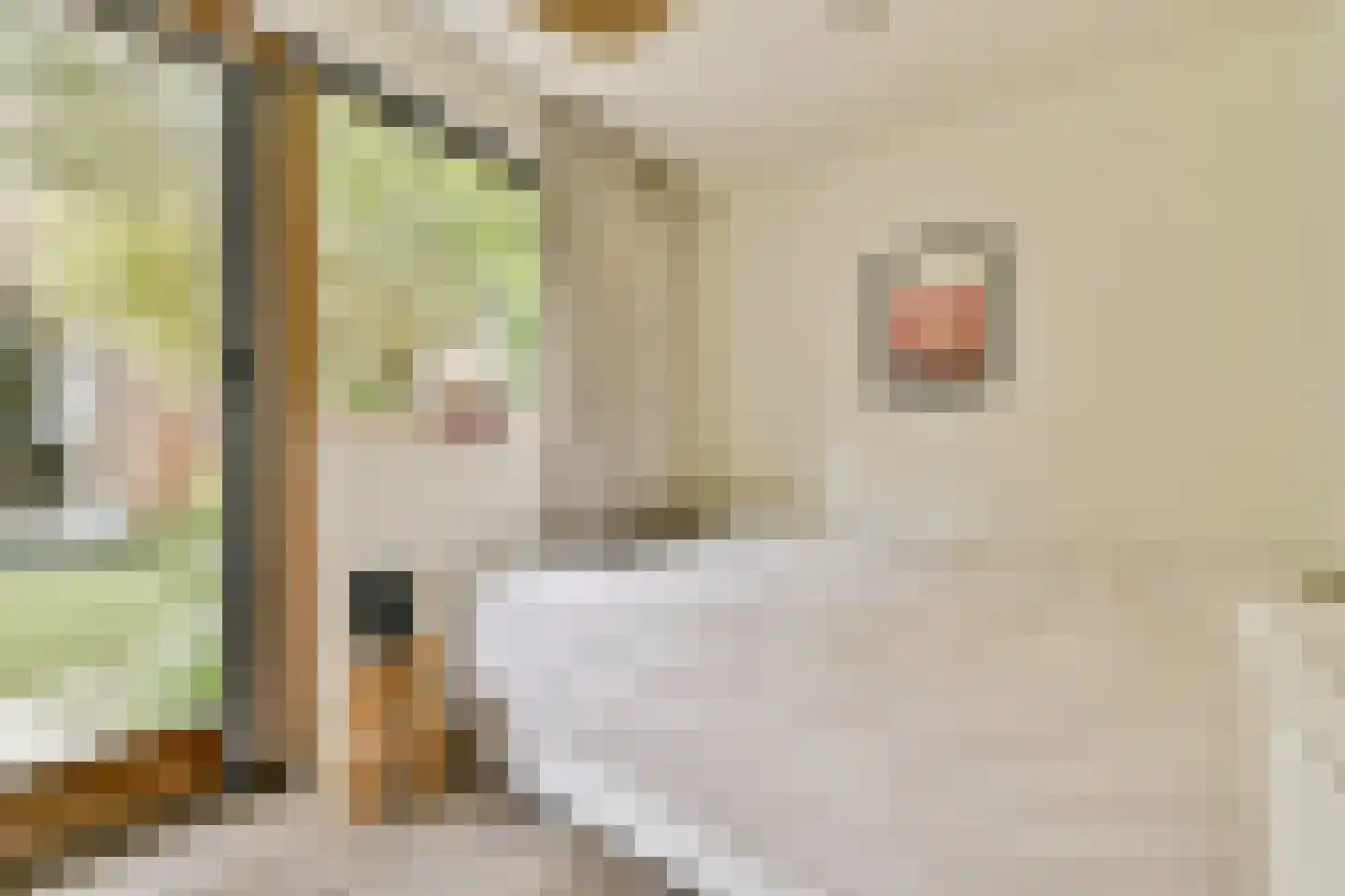 Da Costakade 14 A Amsterdam thumbnail 21