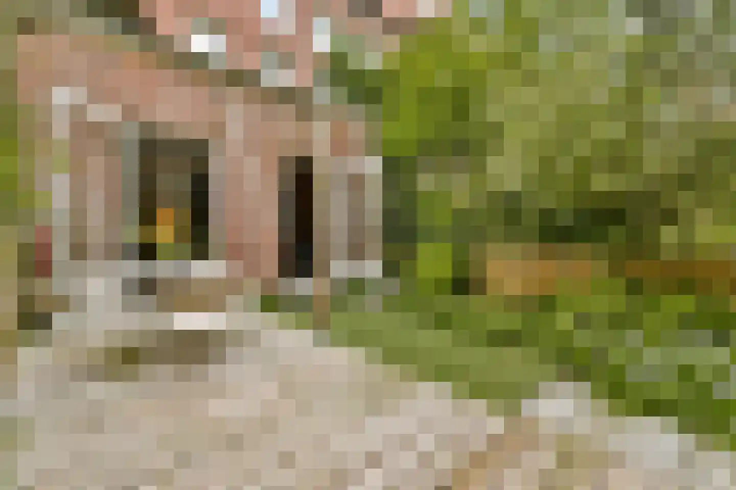 Da Costakade 14 A Amsterdam thumbnail 5