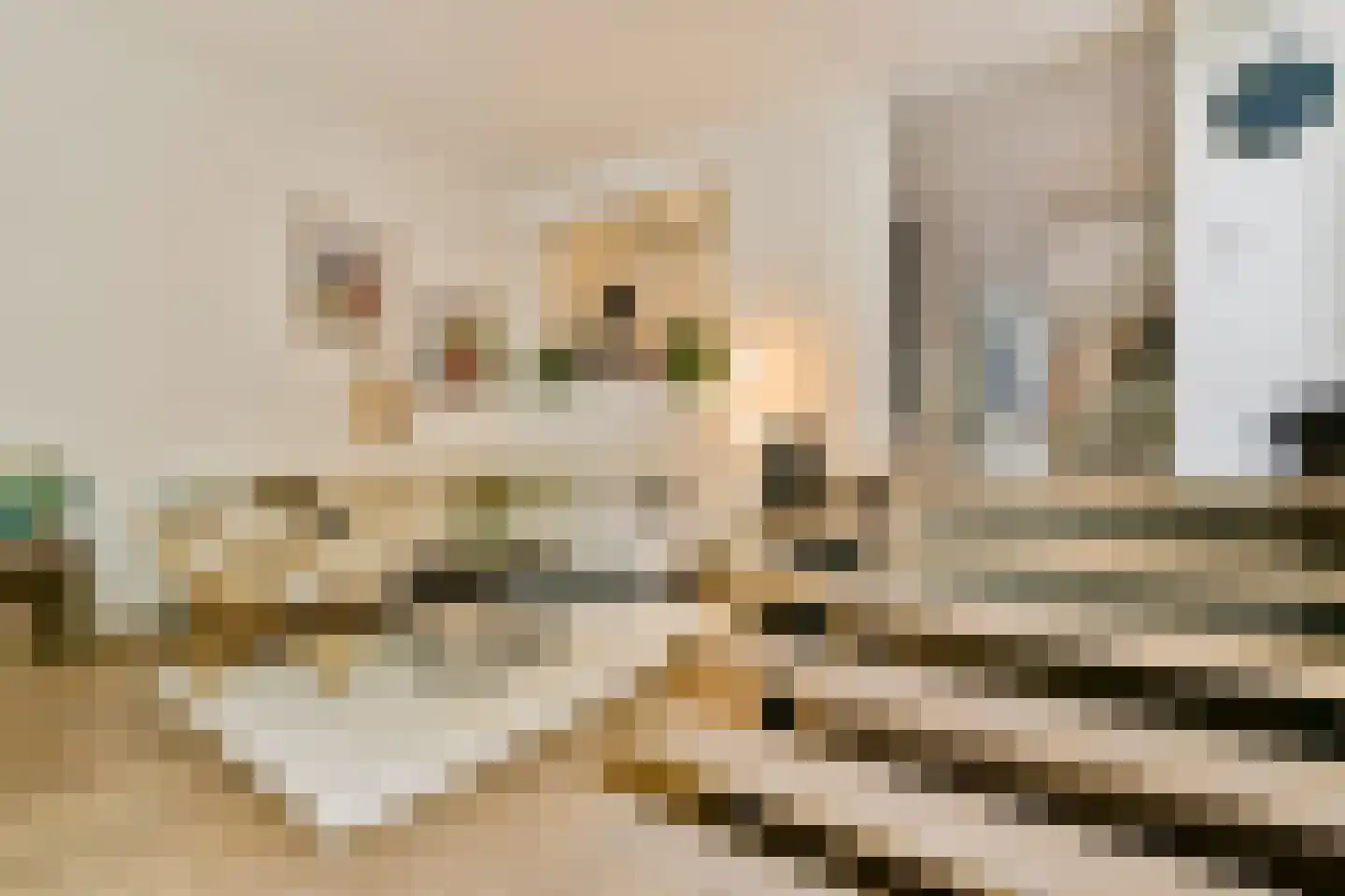 Da Costakade 14 A Amsterdam thumbnail 7