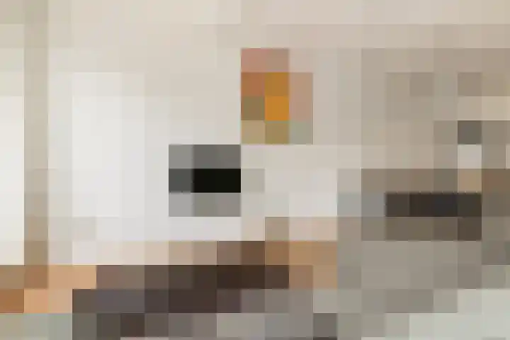Da Costakade 153 Amsterdam thumbnail 12