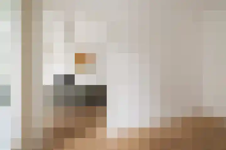 Da Costakade 153 Amsterdam thumbnail 23