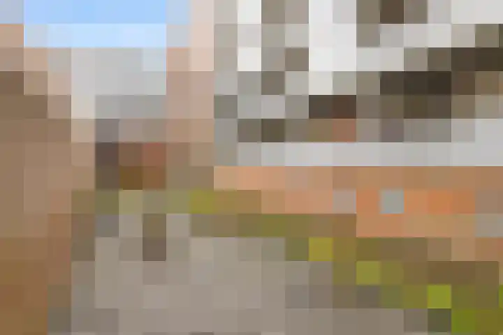 Da Costakade 153 Amsterdam thumbnail 37