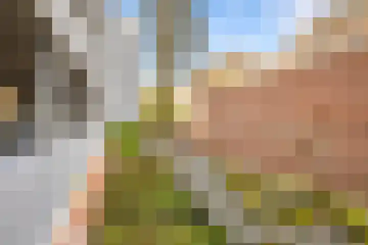 Da Costakade 153 Amsterdam thumbnail 38