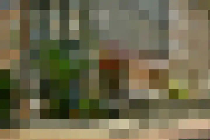 Da Costakade 153 Amsterdam thumbnail 49