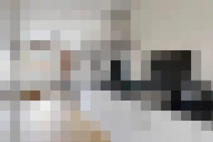Da Costakade 166 C Amsterdam thumbnail 10
