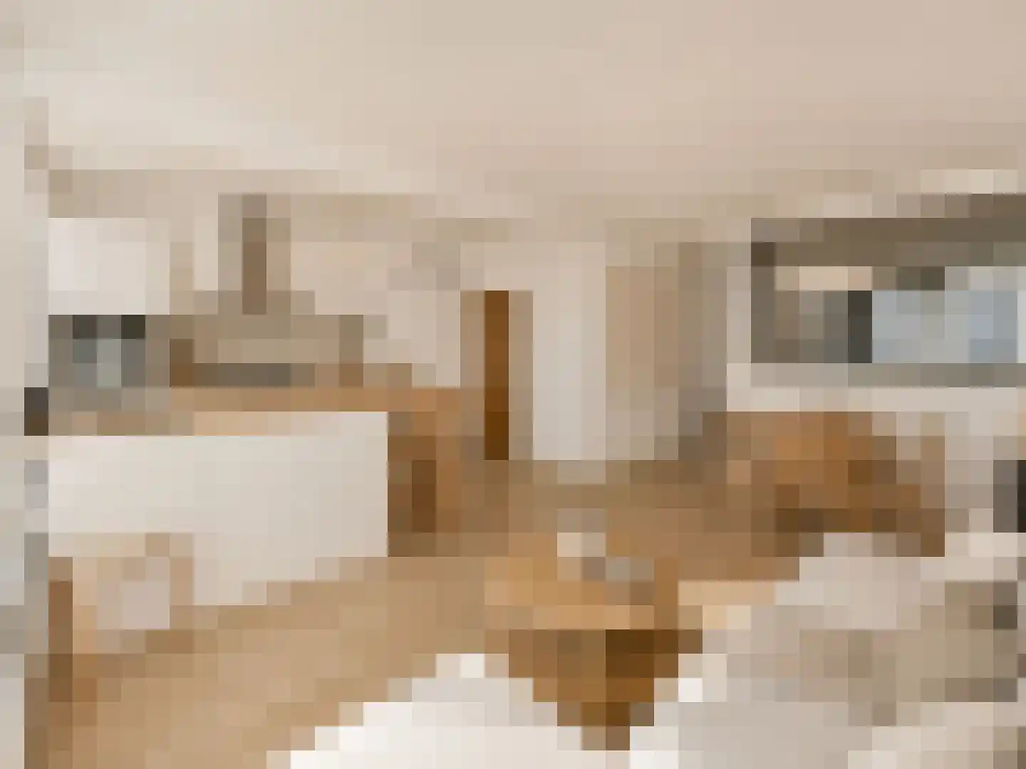 Da Costakade 184 2 Amsterdam thumbnail 4