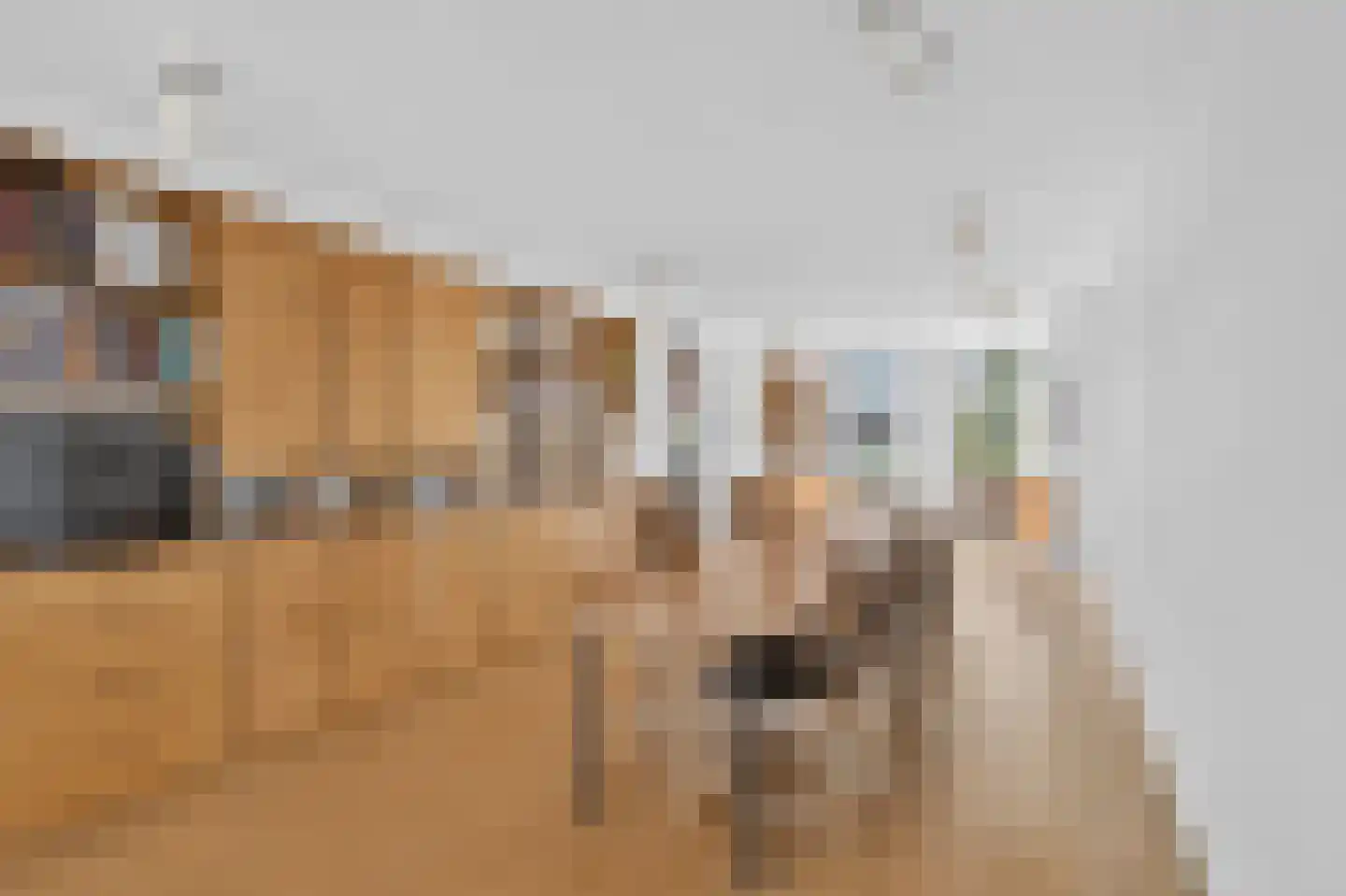 Da Costakade 184 4 Amsterdam thumbnail 12