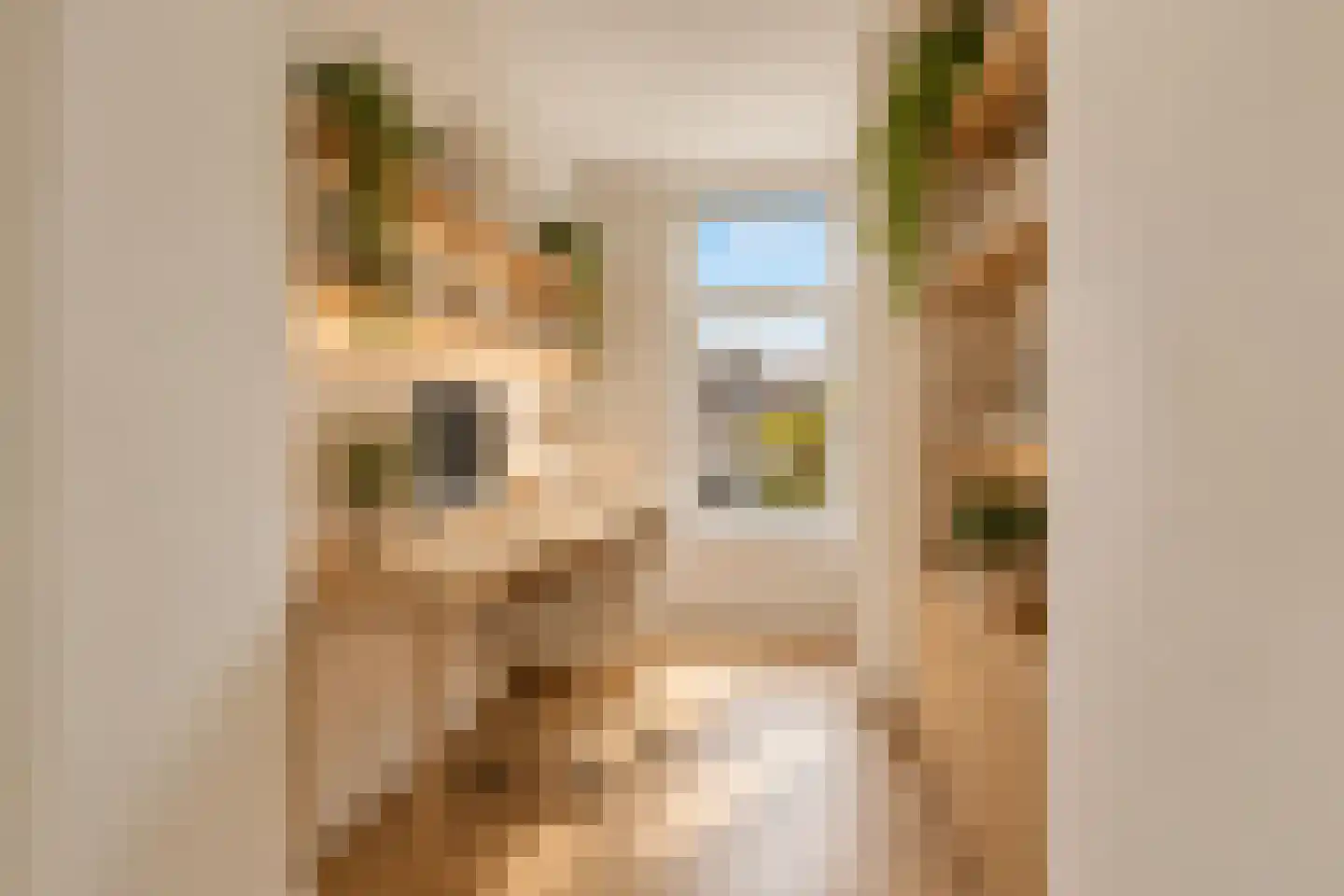Da Costakade 184 4 Amsterdam thumbnail 17