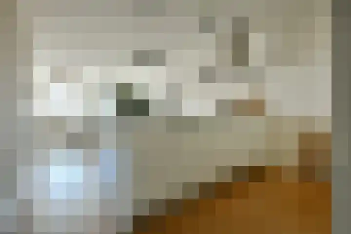 Da Costakade 186 4 Amsterdam thumbnail 8