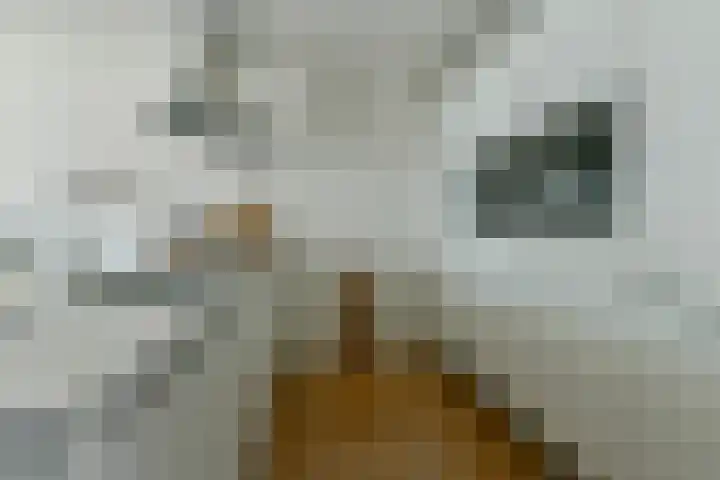 Da Costakade 186 4 Amsterdam thumbnail 9