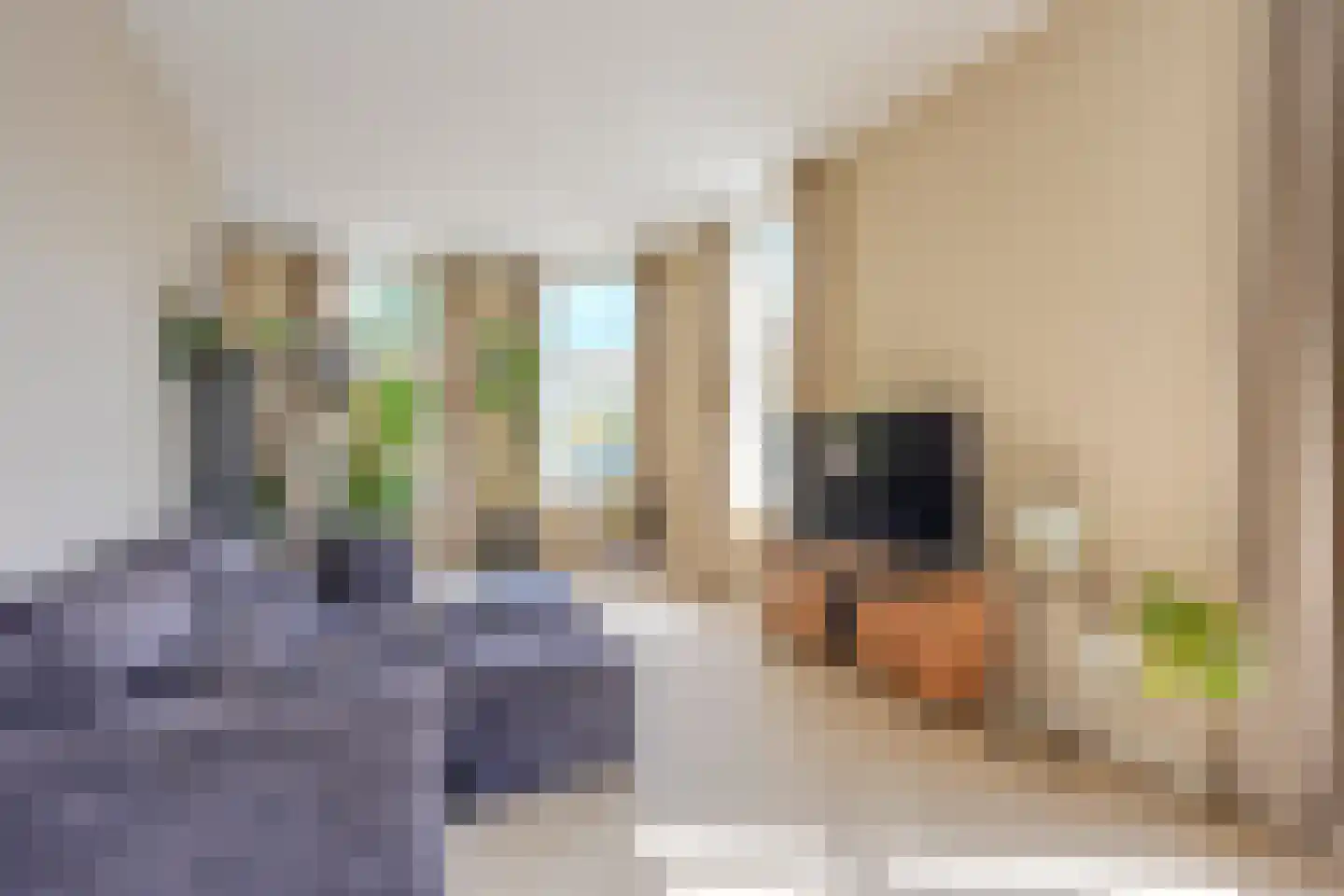 Da Costakade 2 BS Utrecht thumbnail 14