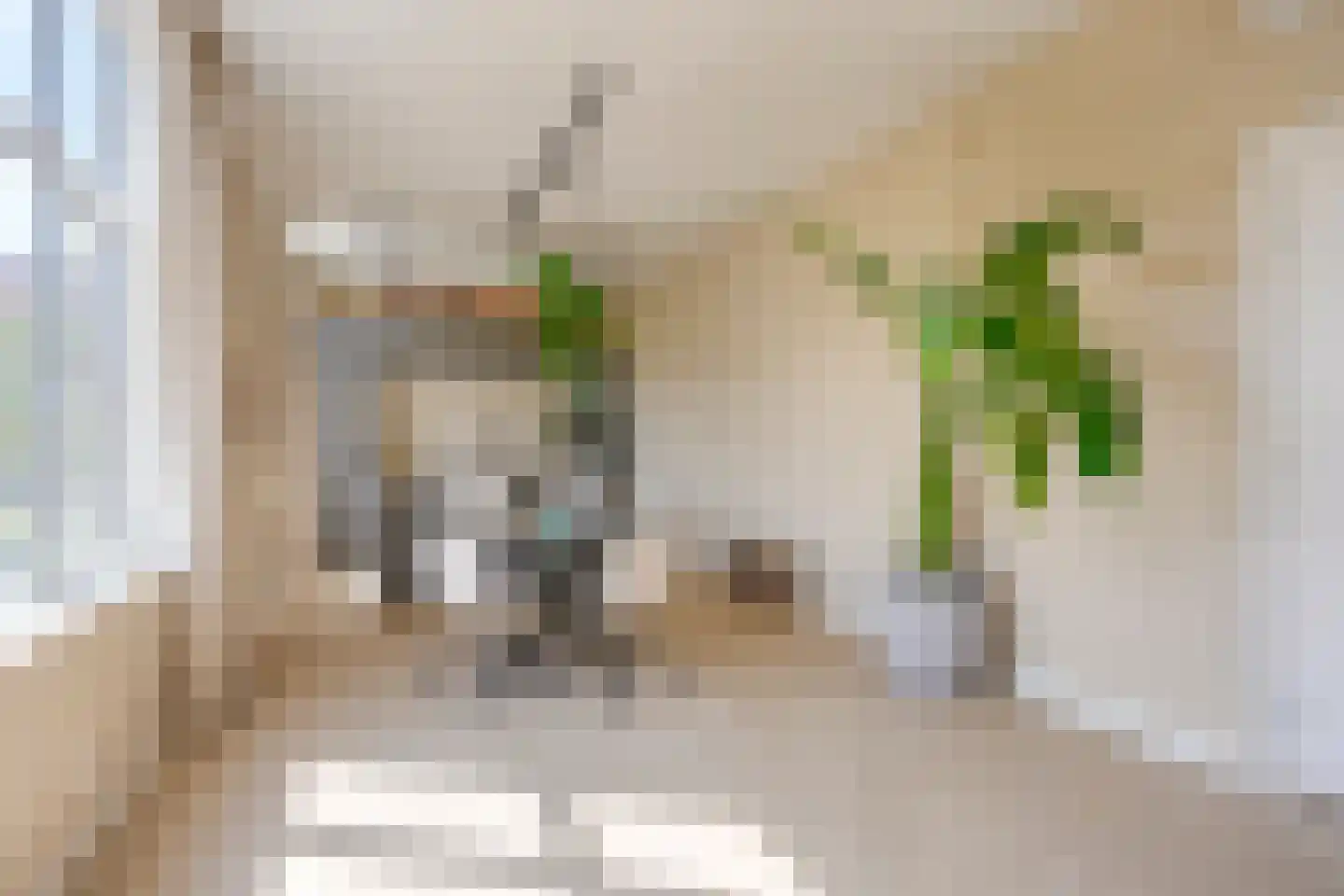Da Costakade 2 BS Utrecht thumbnail 15