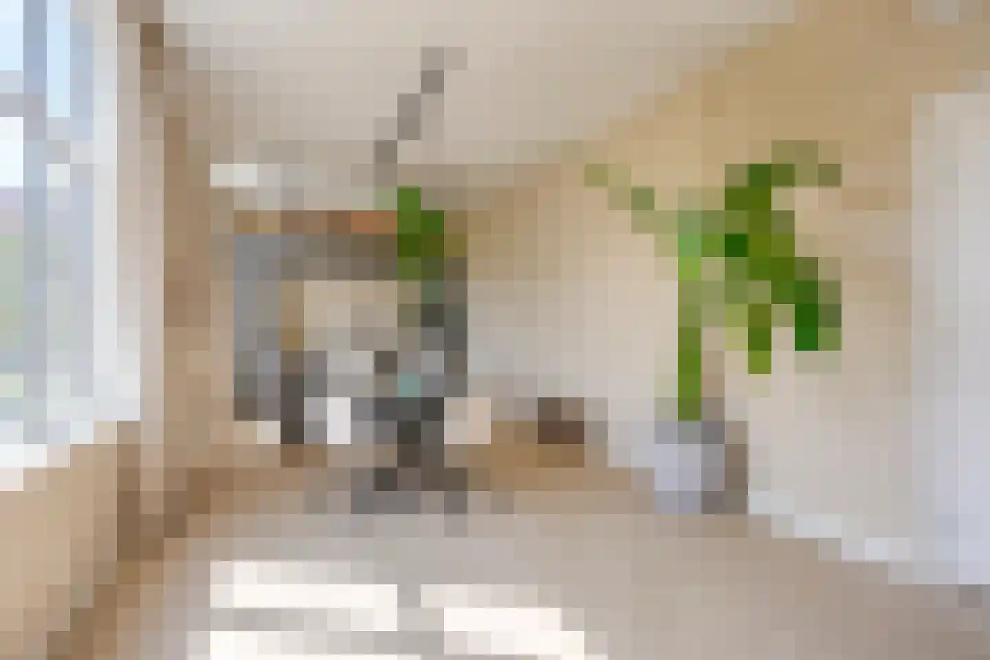Da Costakade 2 BS Utrecht thumbnail 16