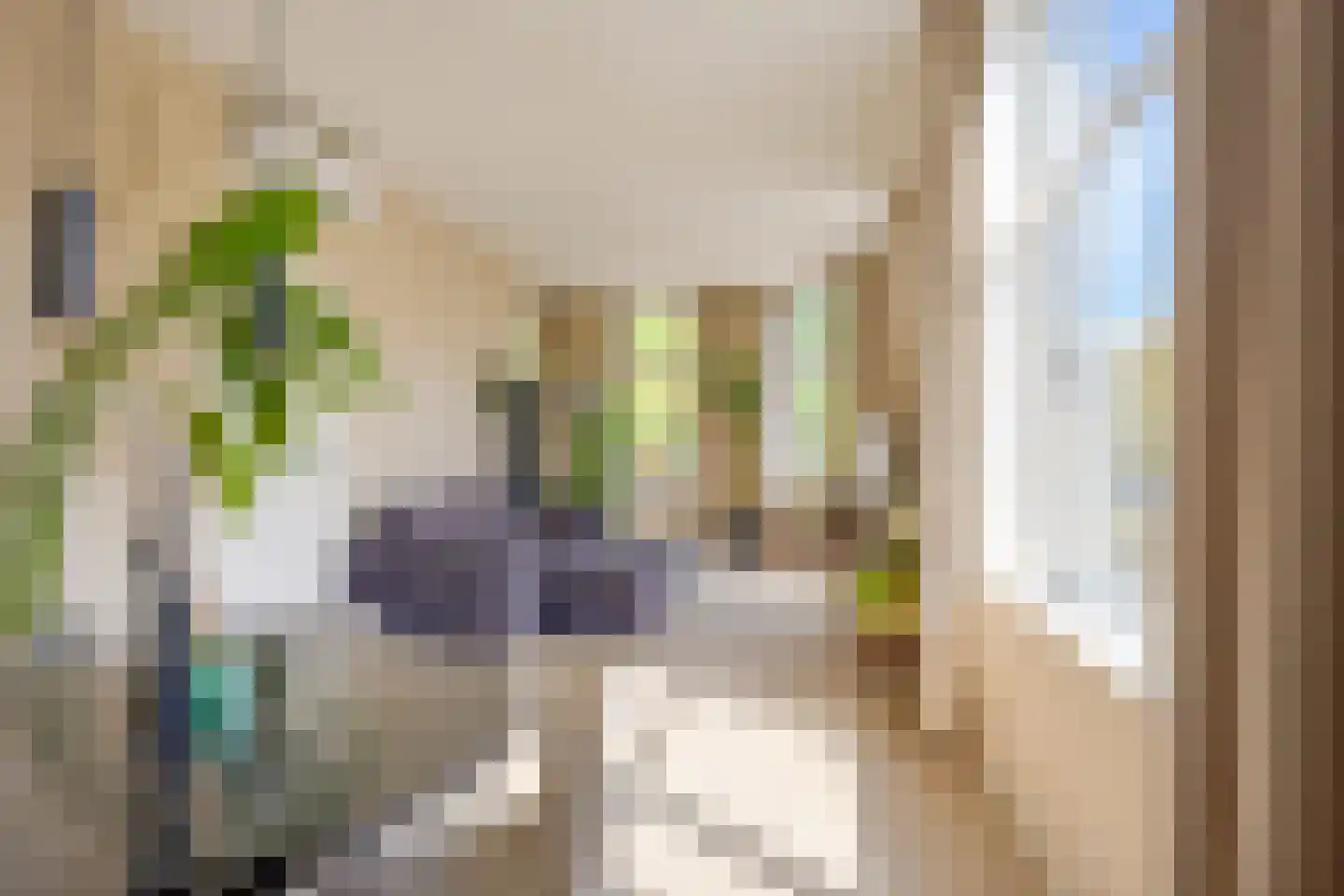 Da Costakade 2 BS Utrecht thumbnail 21