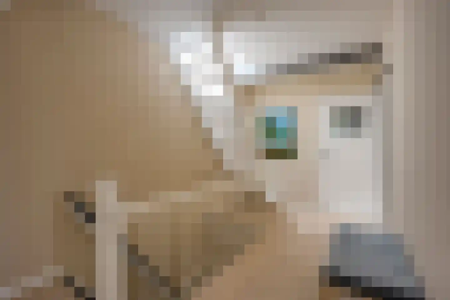 Da Costakade 2 BS Utrecht thumbnail 28