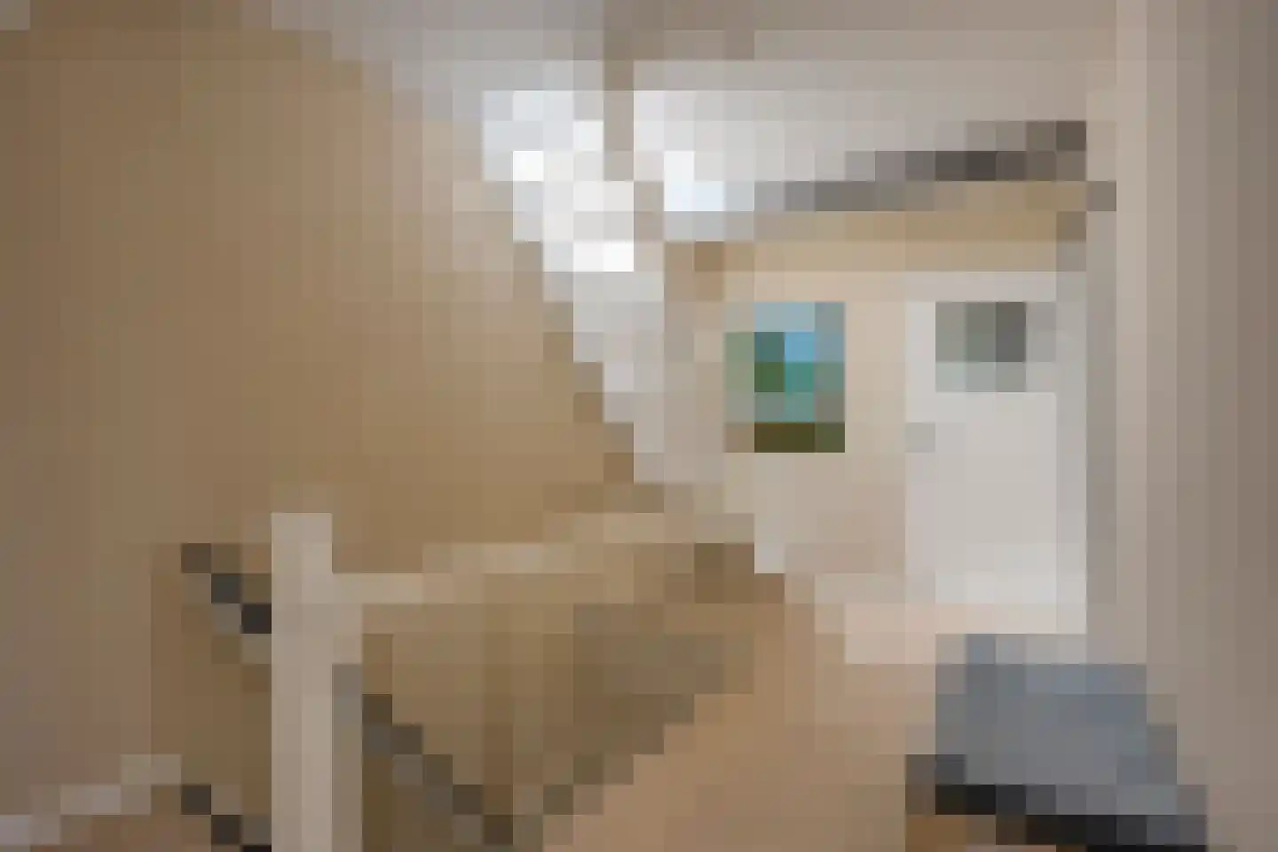 Da Costakade 2 BS Utrecht thumbnail 29