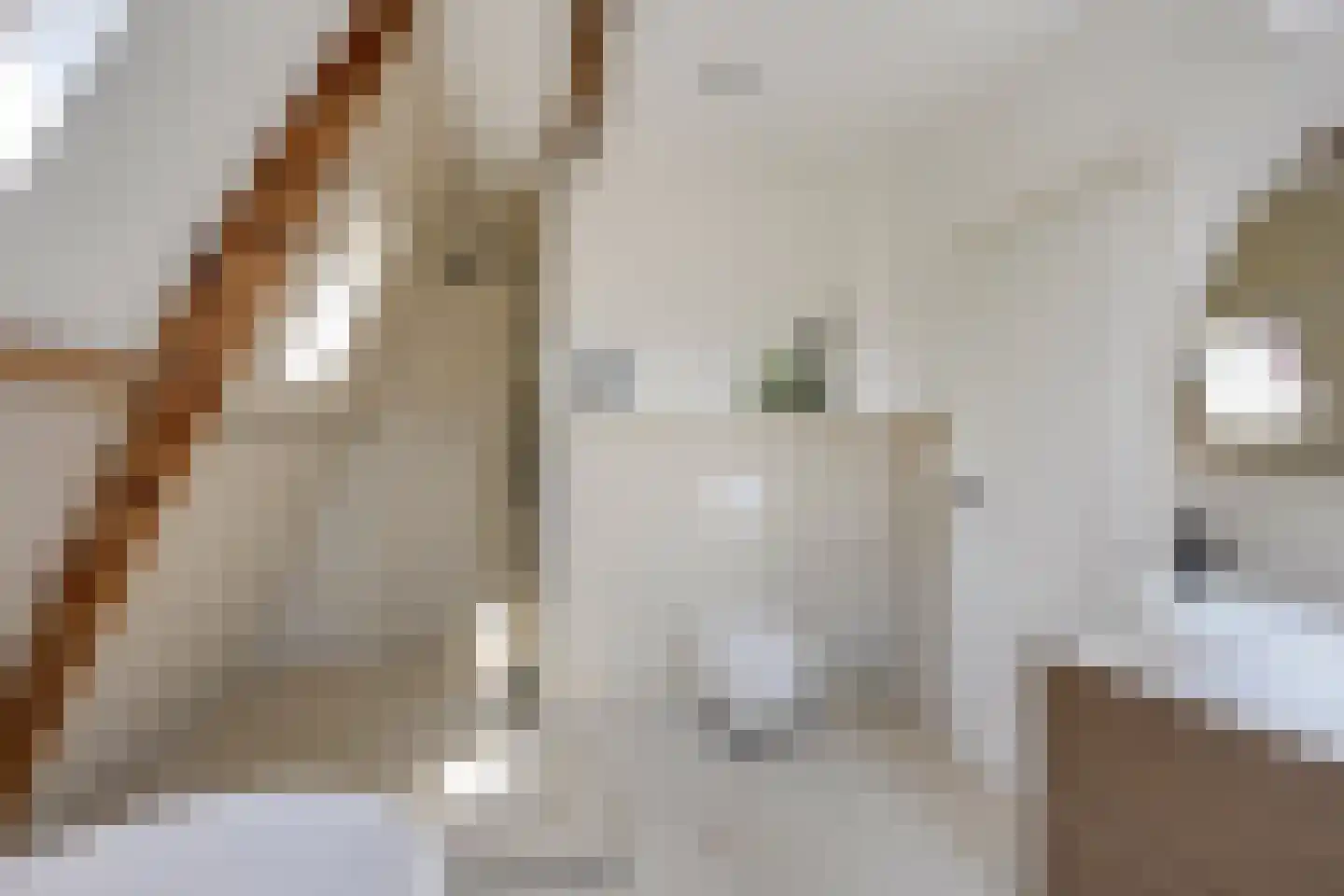 Da Costakade 2 BS Utrecht thumbnail 33
