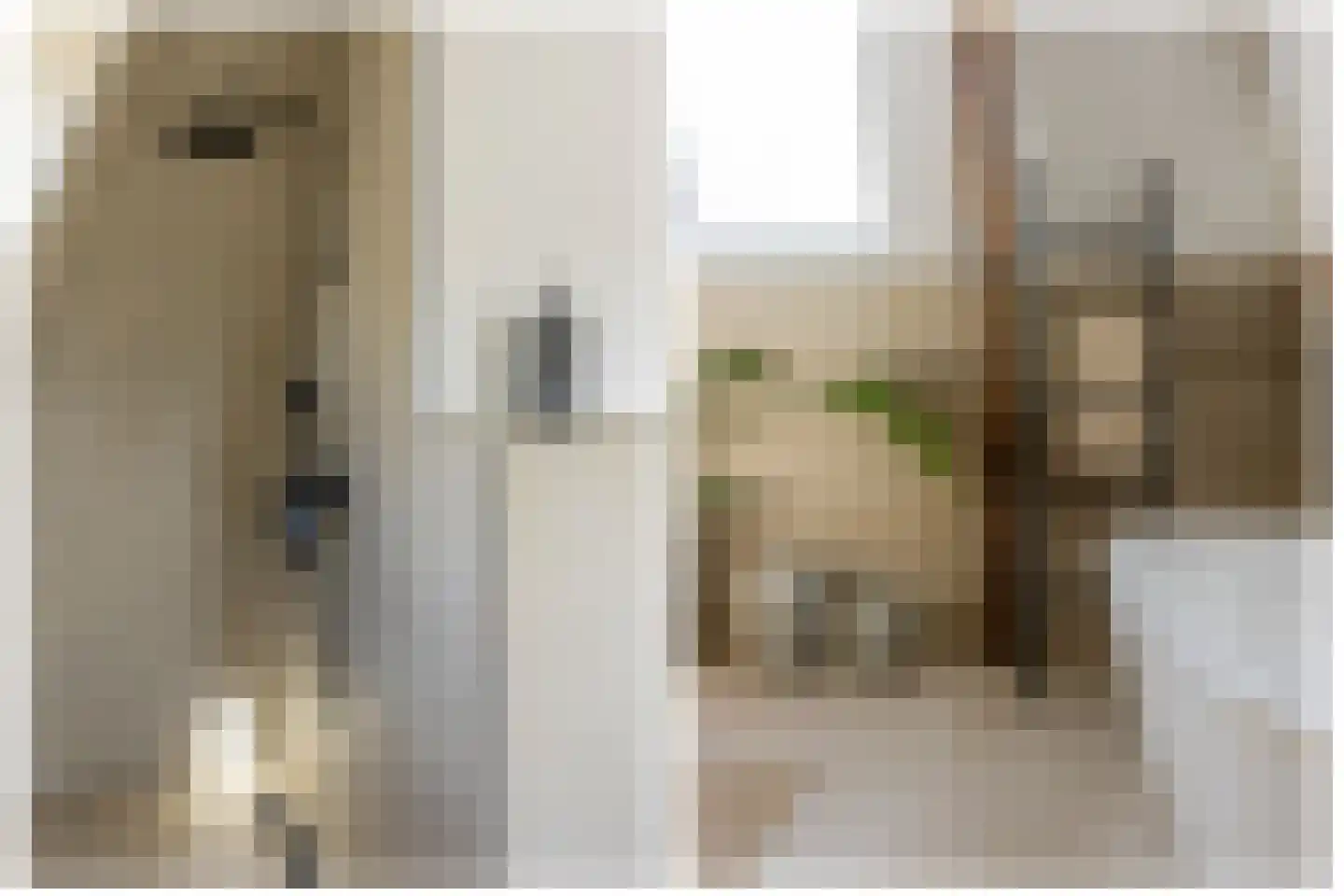 Da Costakade 2 BS Utrecht thumbnail 34