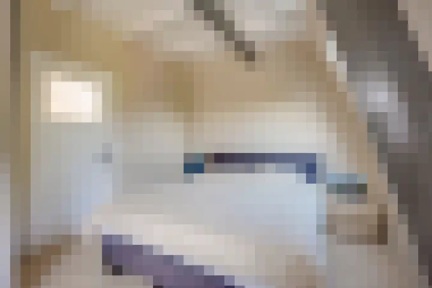 Da Costakade 2 BS Utrecht thumbnail 37