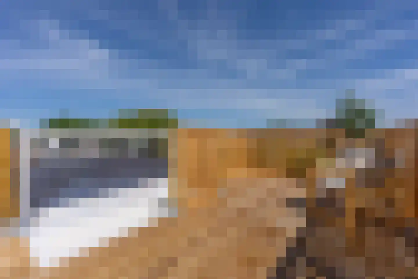 Da Costakade 2 BS Utrecht thumbnail 44