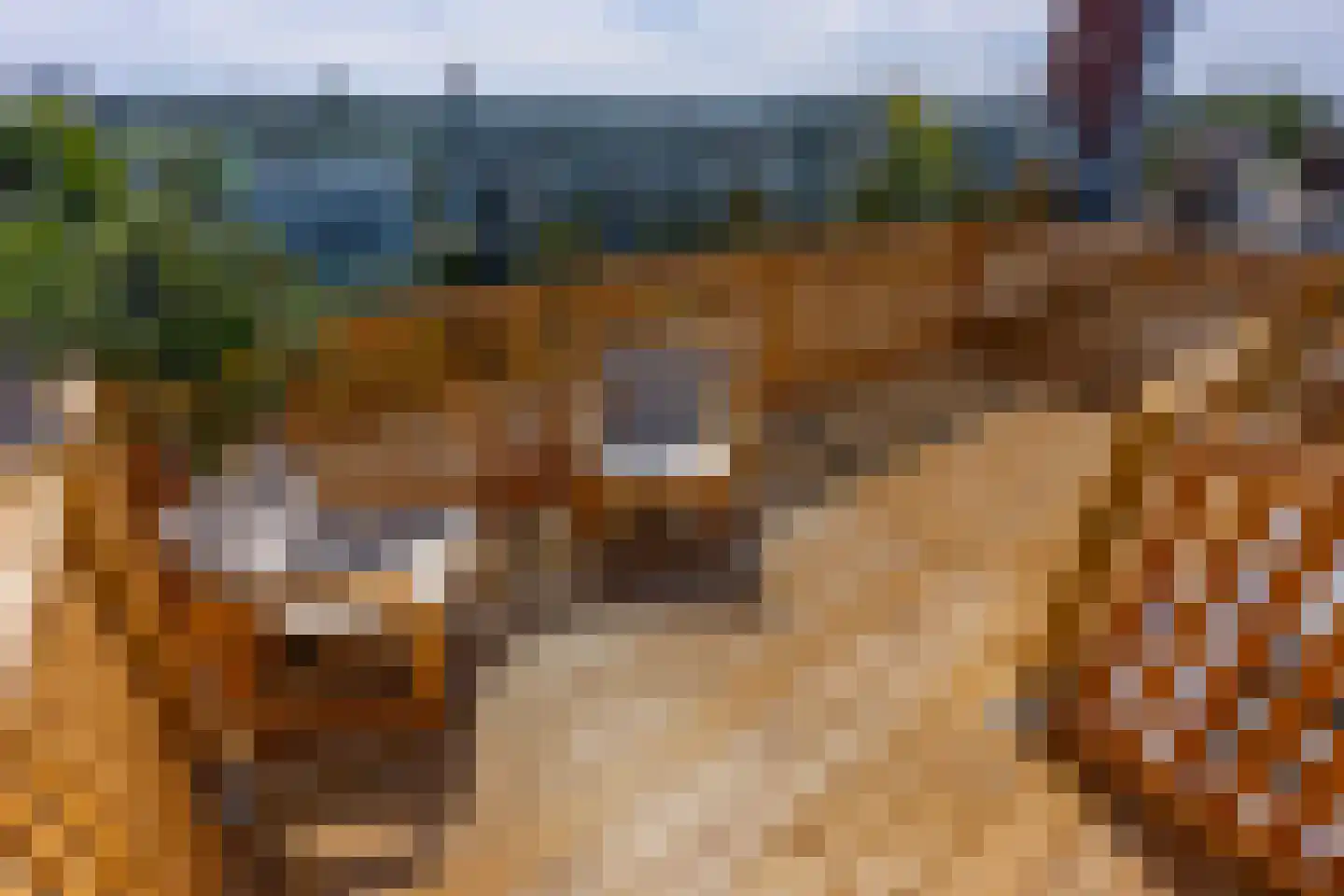 Da Costakade 2 BS Utrecht thumbnail 47