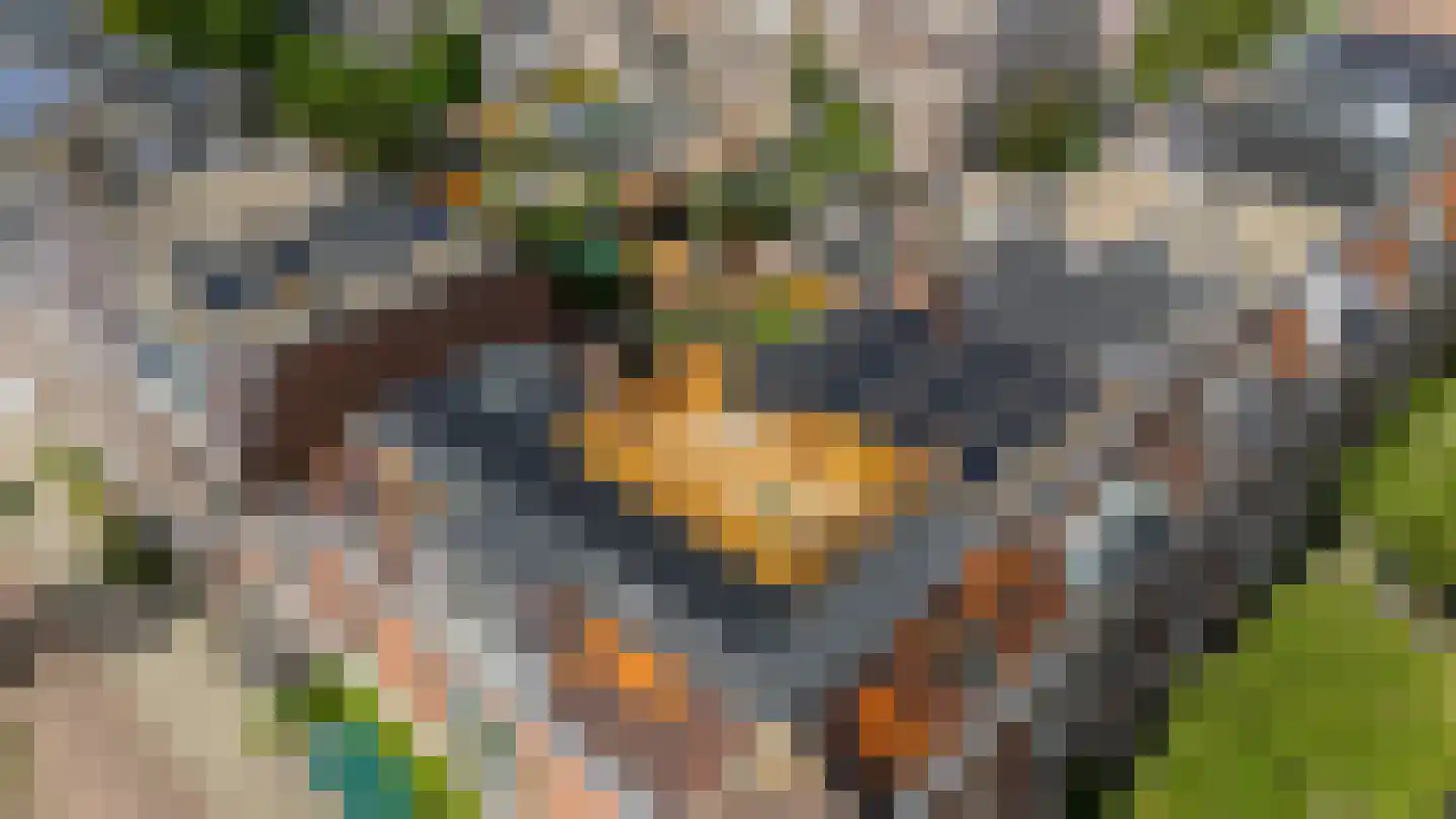 Da Costakade 2 BS Utrecht thumbnail 52