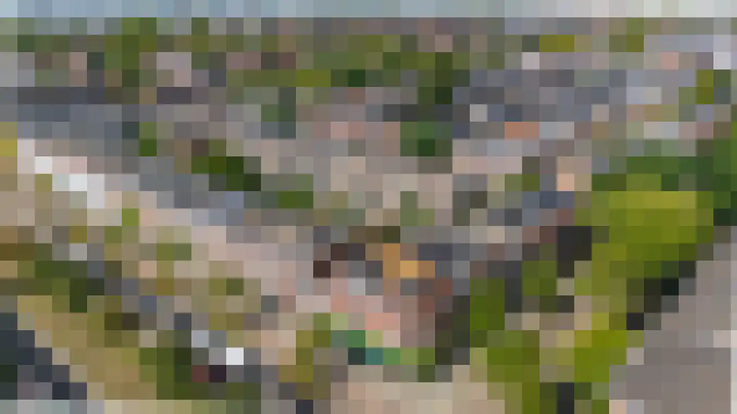 Da Costakade 2 BS Utrecht thumbnail 53