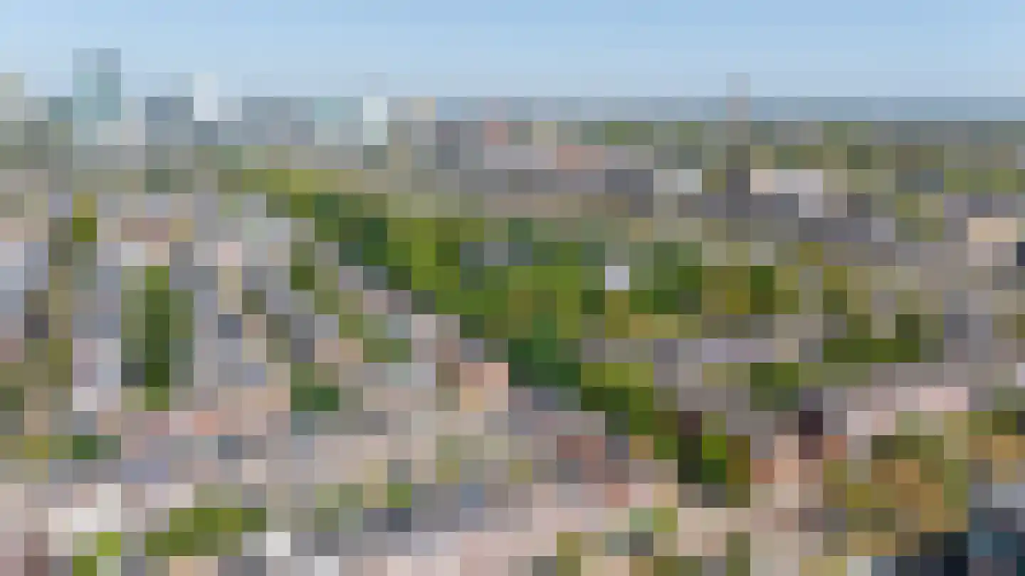 Da Costakade 2 BS Utrecht thumbnail 54
