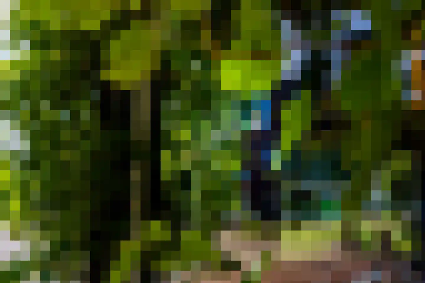Da Costakade 2 BS Utrecht thumbnail 55