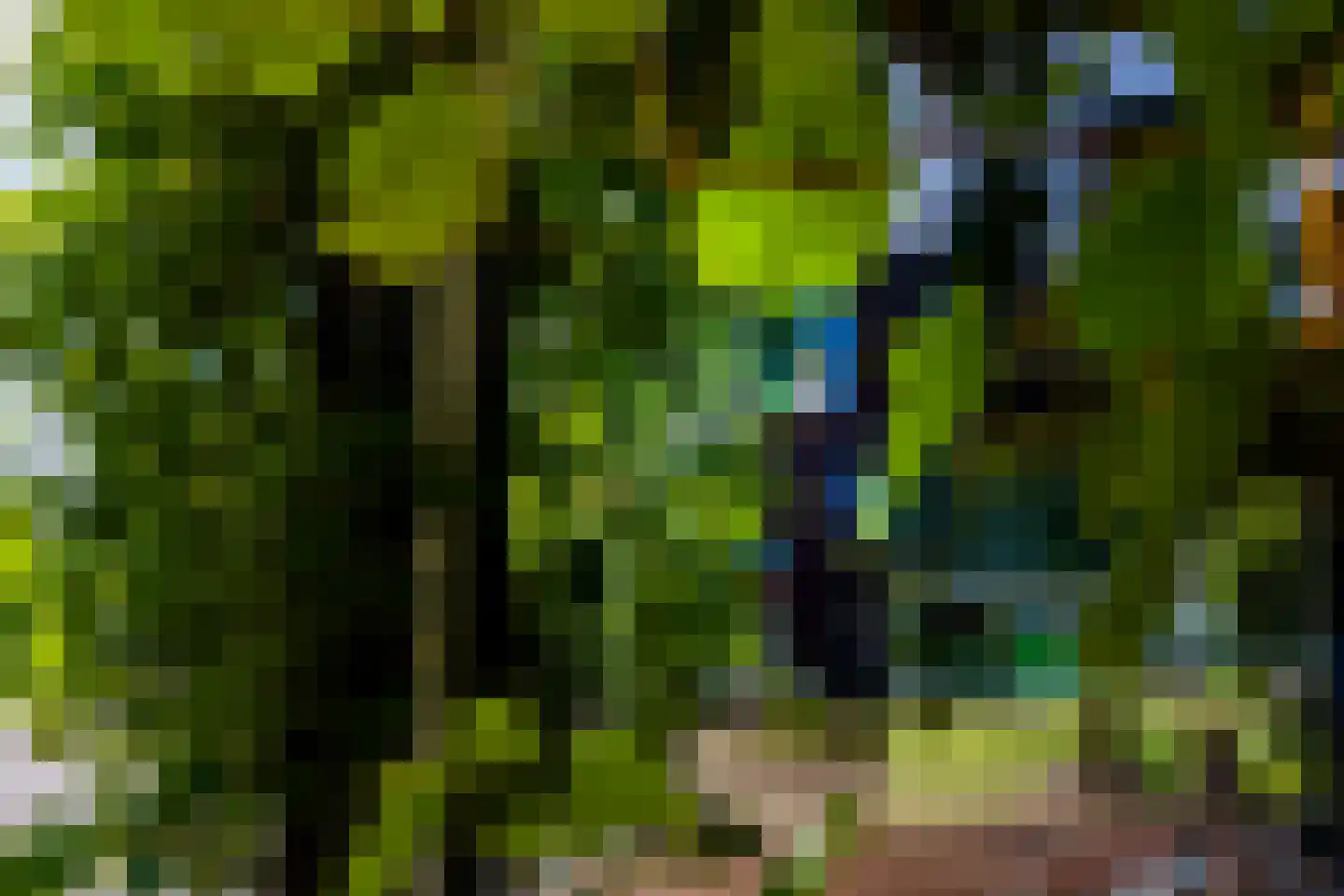 Da Costakade 2 BS Utrecht thumbnail 56