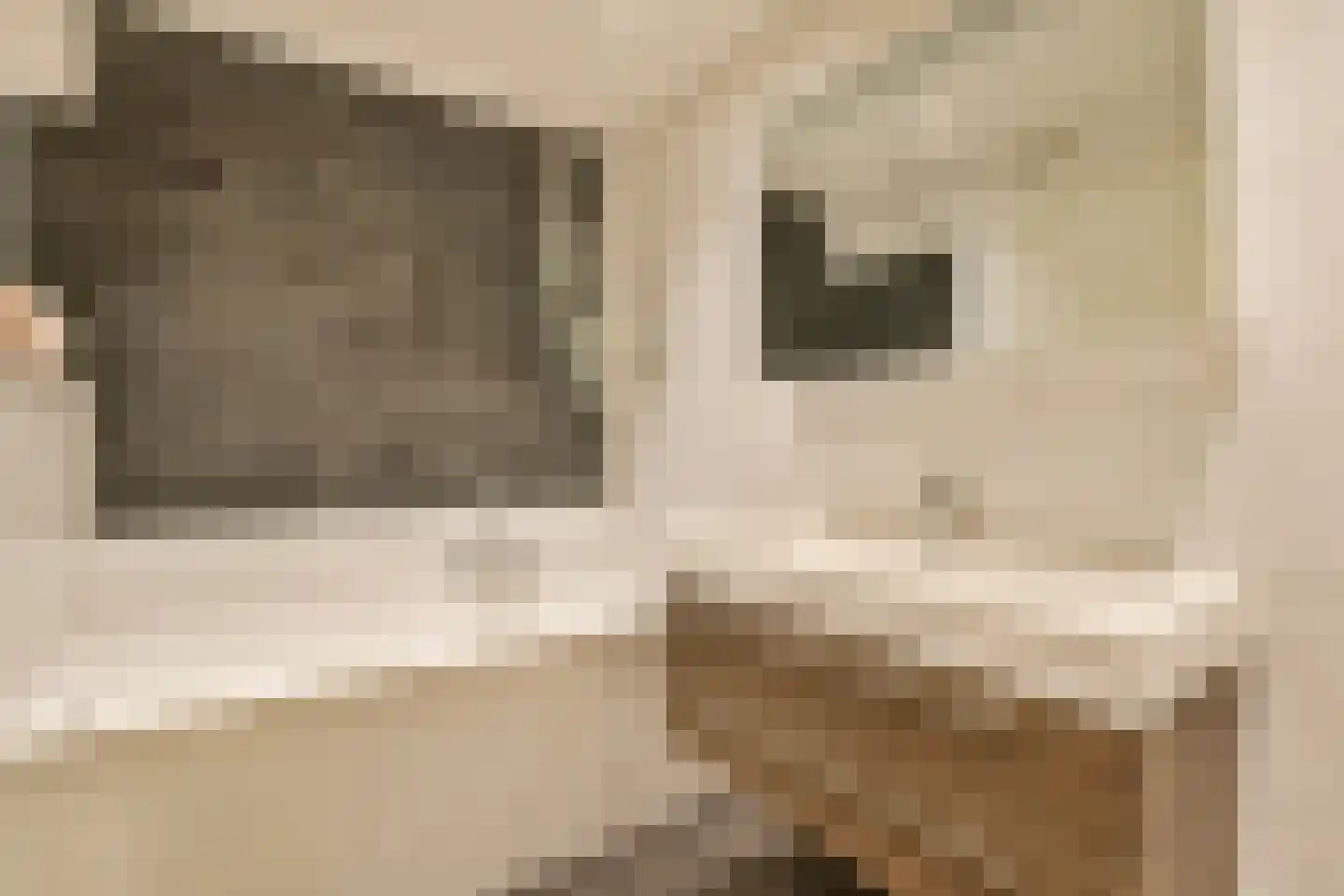 Da Costakade 20 A Amsterdam thumbnail 21