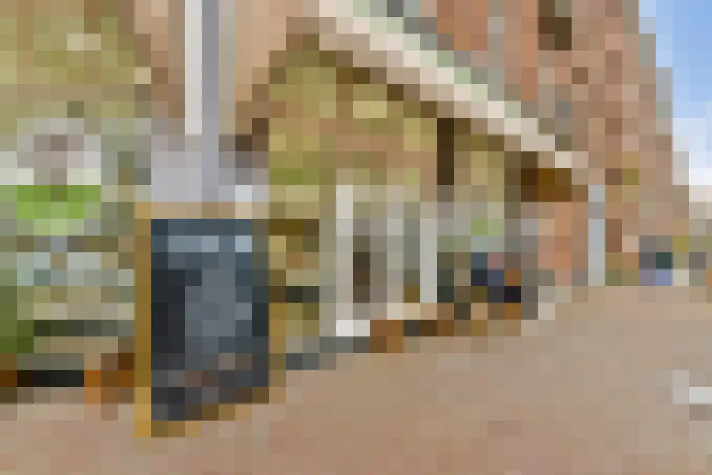 Da Costakade 20 A Amsterdam thumbnail 27