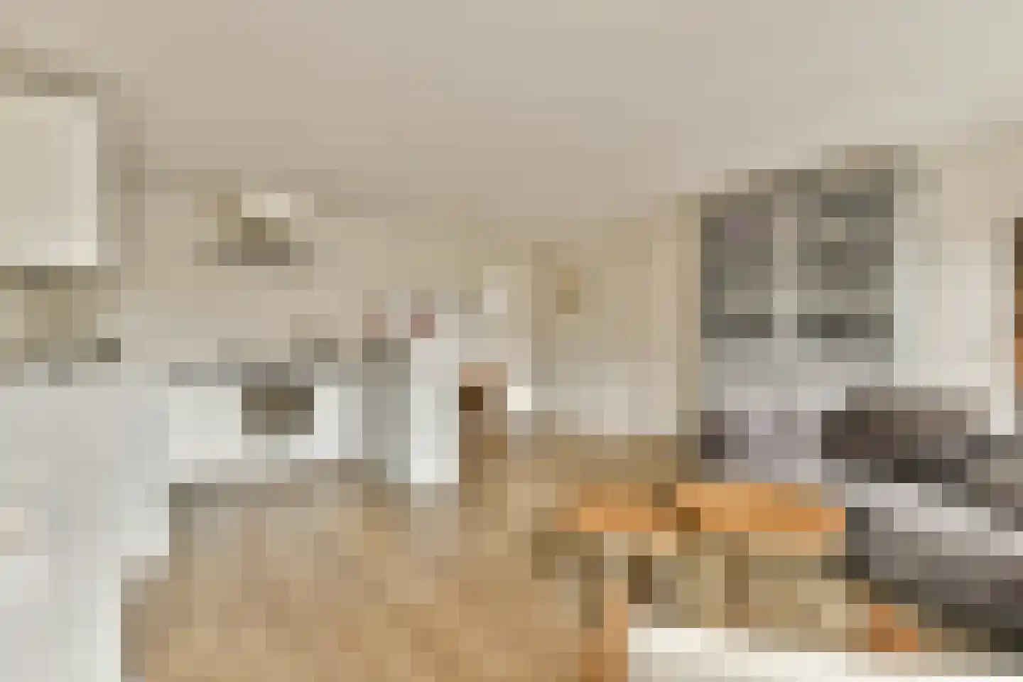 Da Costakade 20 A Amsterdam thumbnail 6