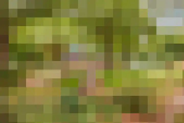 Da Costakade 20 B Utrecht thumbnail 17
