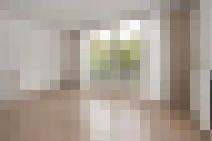 Da Costakade 20 B Utrecht thumbnail 4