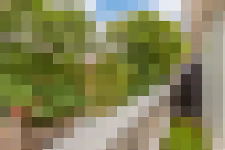 Da Costakade 20 B Utrecht thumbnail 5