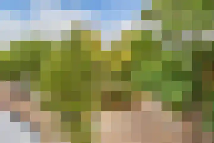Da Costakade 20 B Utrecht thumbnail 6