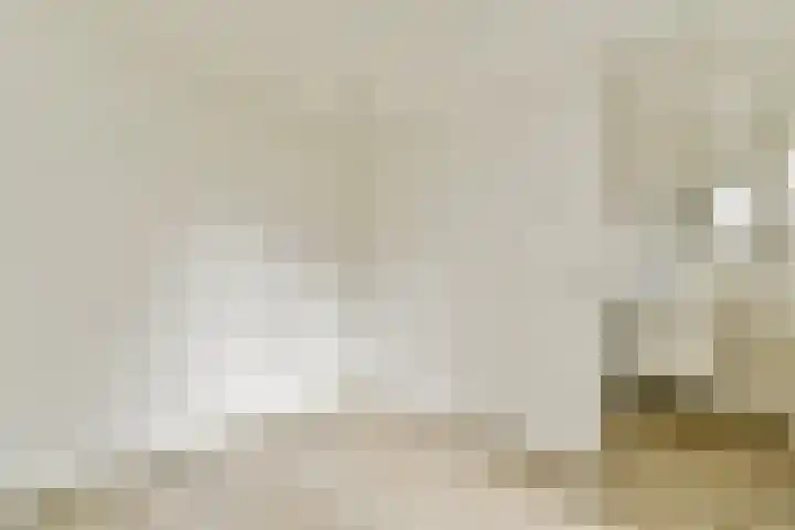 Da Costakade 202 Amsterdam thumbnail 13