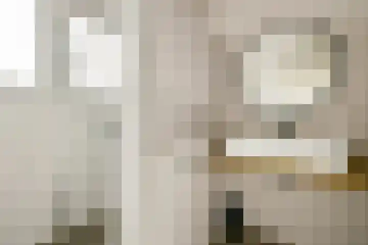 Da Costakade 202 Amsterdam thumbnail 16
