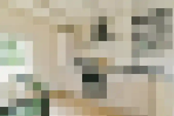 Da Costakade 202 Amsterdam thumbnail 4