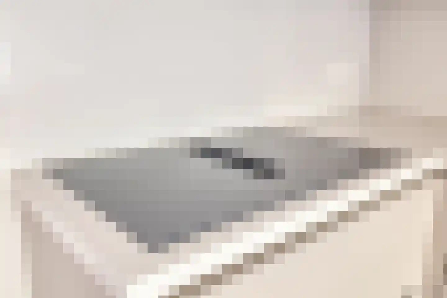 Da Costakade 207 1 Amsterdam thumbnail 9