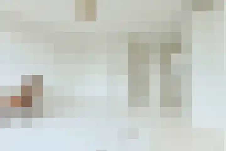 Da Costakade 207 2 Amsterdam thumbnail 4