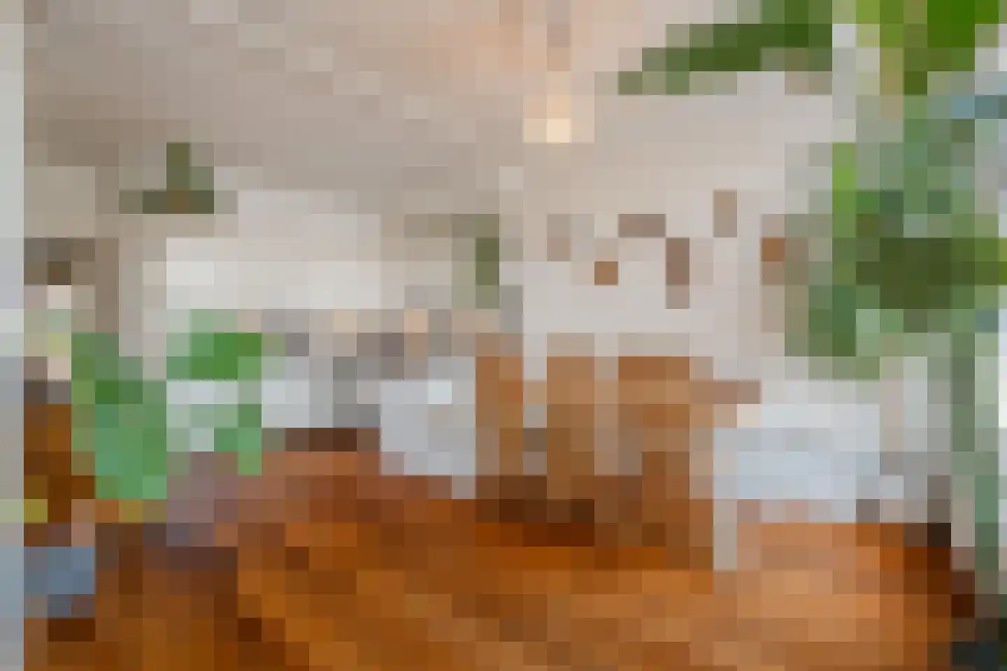 Da Costakade 21 1 Amsterdam thumbnail 13